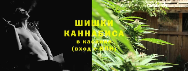 spice Бронницы