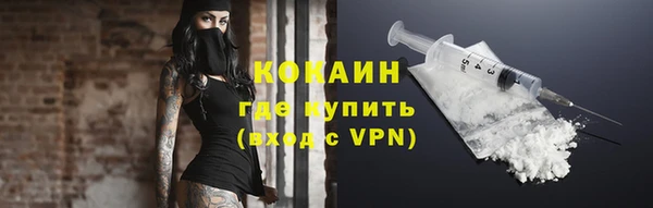 дурь Бородино
