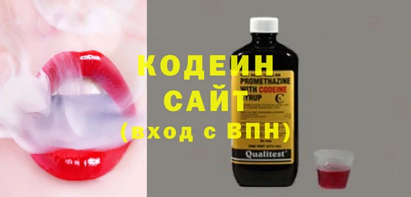 дурь Бородино