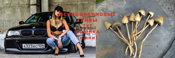 spice Бронницы