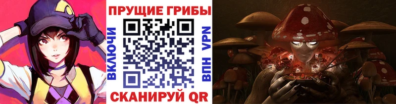 что такое   Жиздра  Псилоцибиновые грибы Psilocybe 